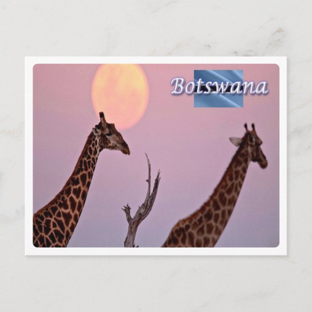 Postal Botswana - (Anverso)