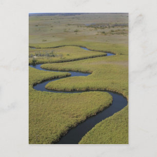 Postal Botswana, África. Vista aérea del río Okavango.