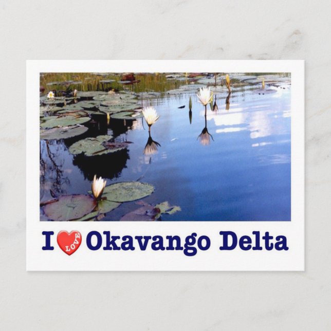 Postal Botswana - Delta del Okavango - Amo - (Anverso)