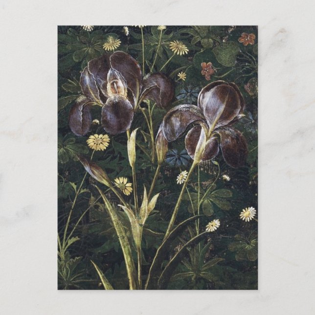 Postal Botticelli Irises (Anverso)