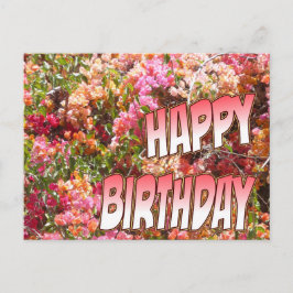 Postal Bougainvillea Nacimiento Postcard Pink