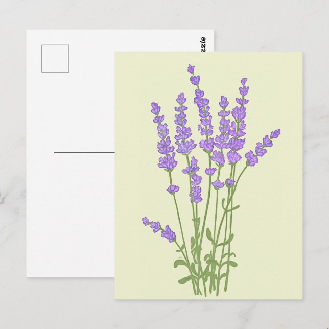 Postal Bouquet de fleurs lavande. (Anverso / Reverso)