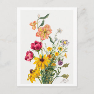 Postal Bouquet de flores Ilustracion botánico