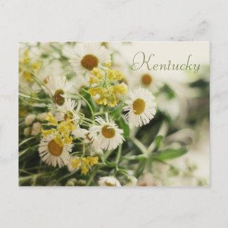 Postal Bouquet de flores silvestres por JerseyFawn