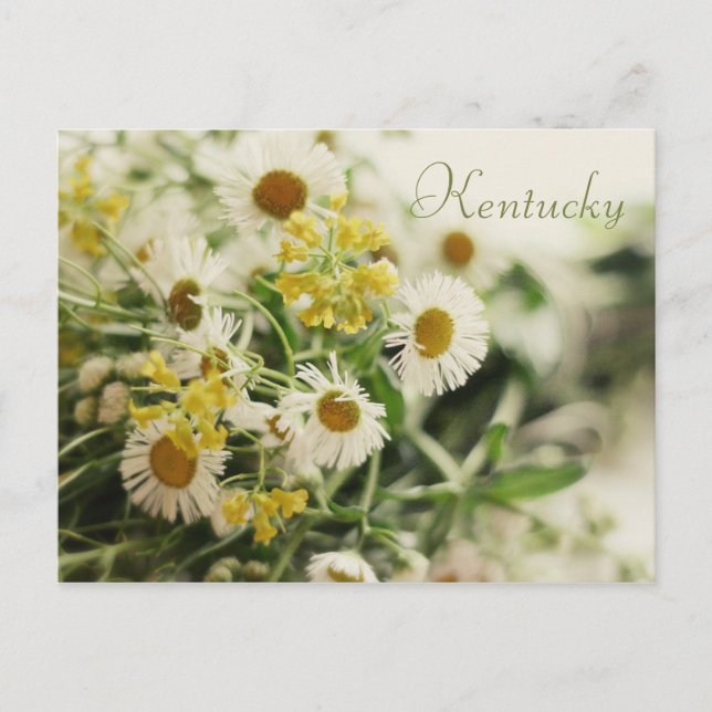 Postal Bouquet de flores silvestres por JerseyFawn (Anverso)