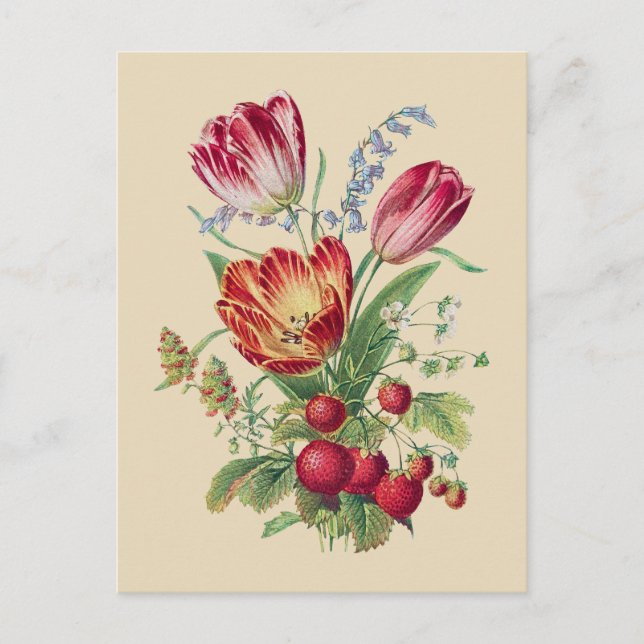 Postal Bouquet - Tulipanes (Anverso)