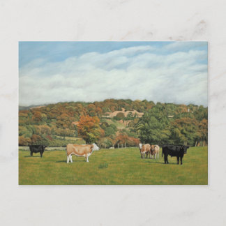 Postal Bovino de Pentyrch