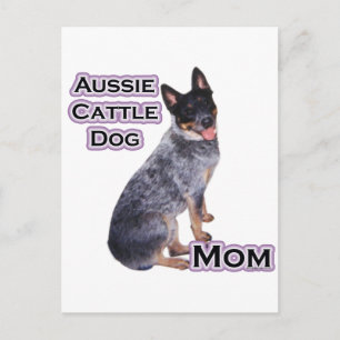 Postal Bovinos australianos mamá 4