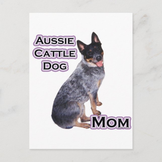 Postal Bovinos australianos mamá 4 (Anverso)