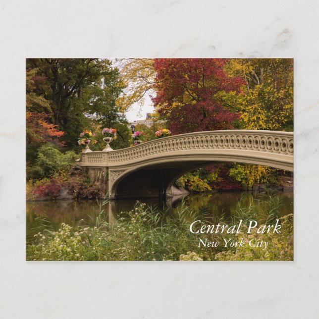 Postal Bow Bridge, New York City Postcard (Anverso)
