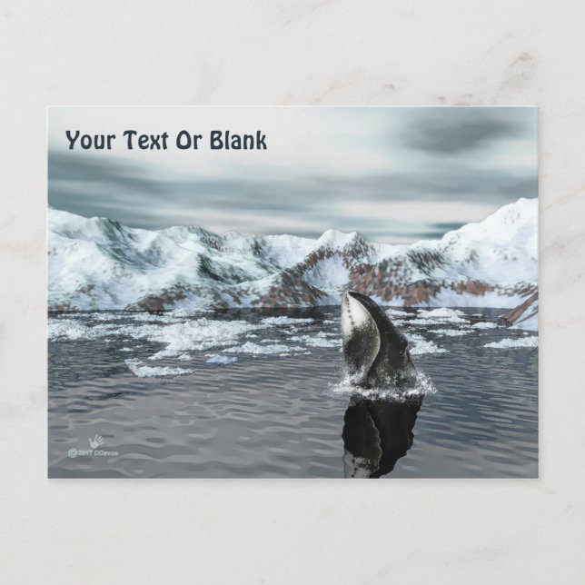 Postal Bowhead Whale (Anverso)