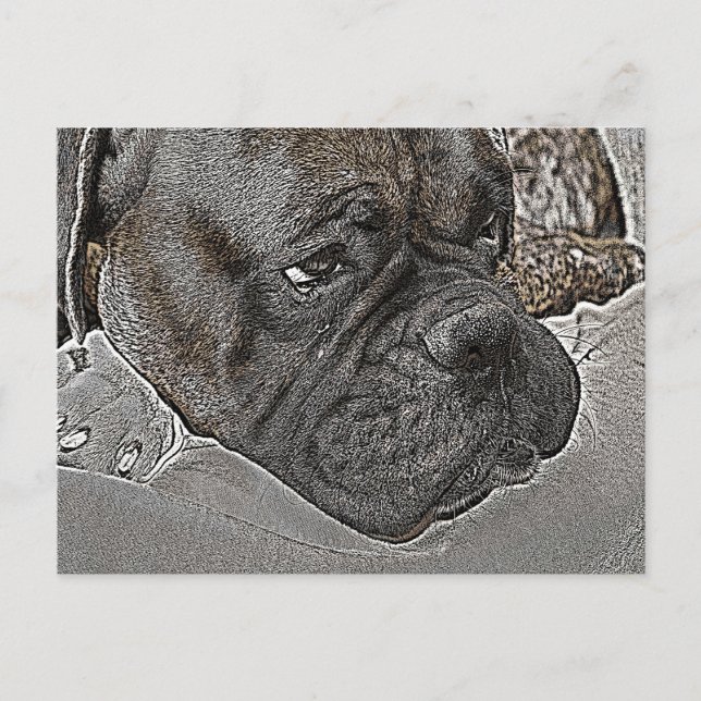 Postal Boxer Dog (Anverso)
