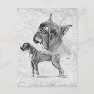 Postal Boxer Dogs