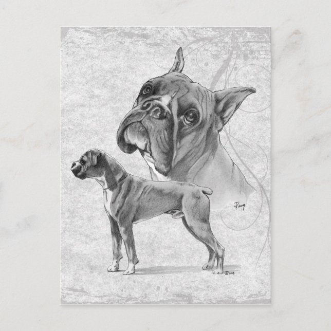 Postal Boxer Dogs (Anverso)