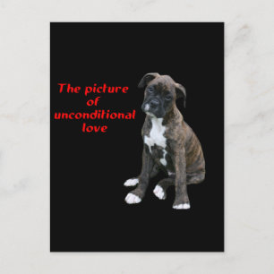 Postal Boxer: Imagen de amor incondicional