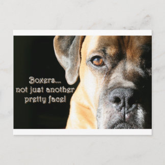 Postal Boxer: No sólo otra cara de Bonito