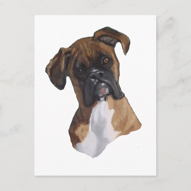 Postal Boxer: Perro: Pastel de petróleo: Ilustracion de a (Anverso)