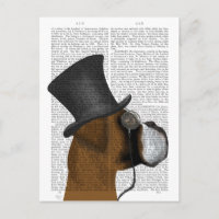 Boxer, Sabueso Formal y Sombrero