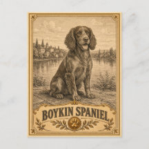 Boykin Spaniel, Patrimonio Vintage Perro