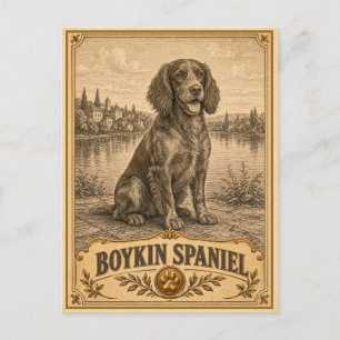 Postal Boykin Spaniel, Patrimonio Vintage Perro