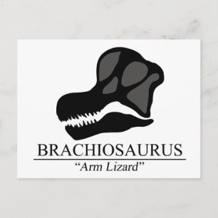 Postal Brachiosaurus Skull