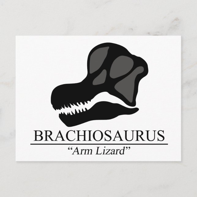 Postal Brachiosaurus Skull (Anverso)