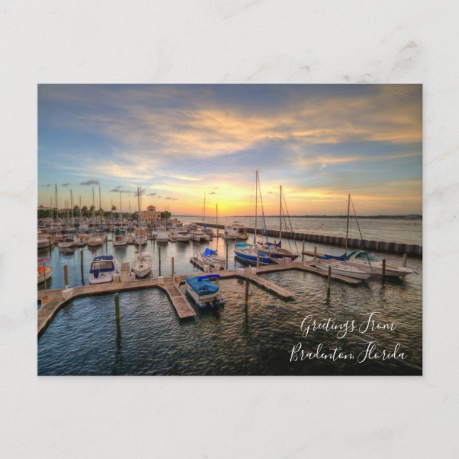 Postal Bradenton, Florida Manatee River Post Card (Anverso)