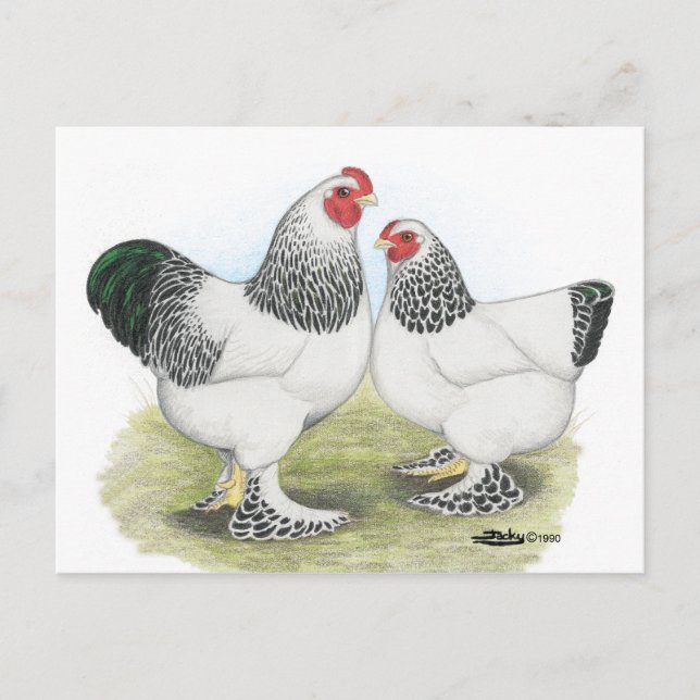 Postal Brahma: Luz2 (Anverso)