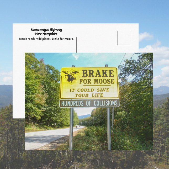 Postal Brake for Moose Kancamagus Highway New Hampshire (Subido por el creador)