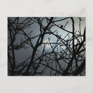Postal Branding Blank Notecard 2
