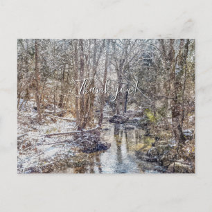 Postal Branson Fall Creek Invierno Nieve Pintura Gracias