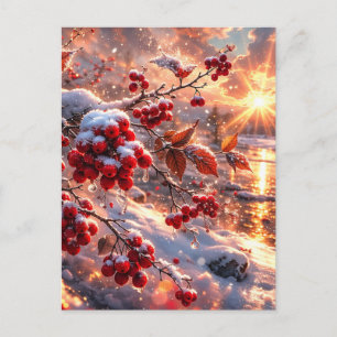 Postal Brasas de Bayas Rojas de Invierno Nieve