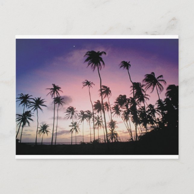 Postal Brasil (Anverso)