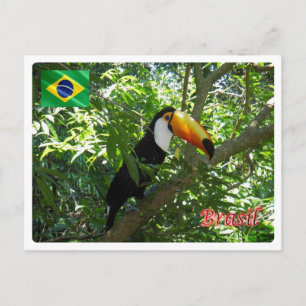 Postal Brasil - Toco Toucan -