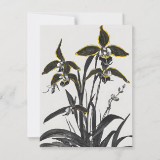 Postal Brassia Orchids Arte Moderno
