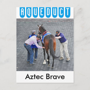 Postal Brave azteca