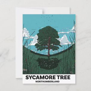 Postal Brecha de árbol de Sycamore