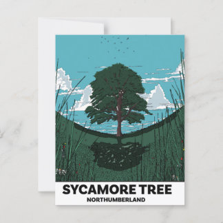 Postal Brecha del árbol de sicómoro