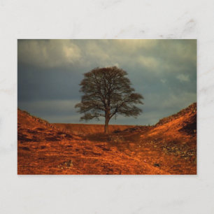 Postal Brecha en la pared de Hadrian - Postcard