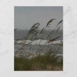 Postal Brecha marina
