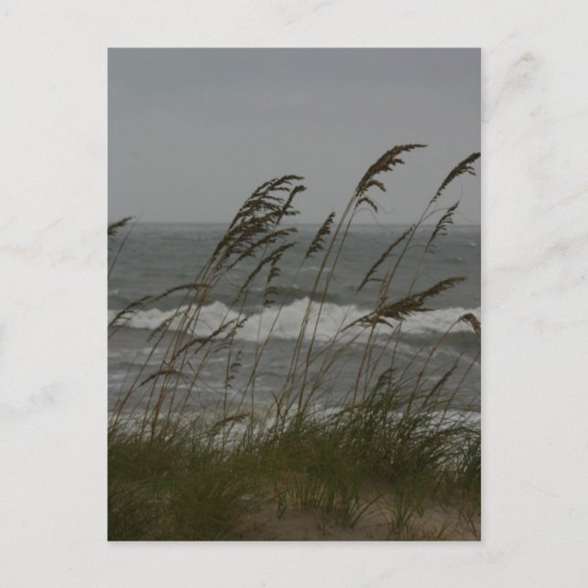 Postal Brecha marina (Anverso)