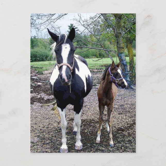 Postal Breezie n Zura (Anverso)