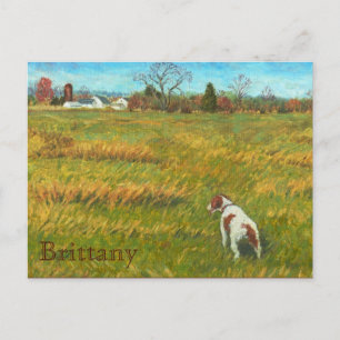 Postal Bretaña en el campo