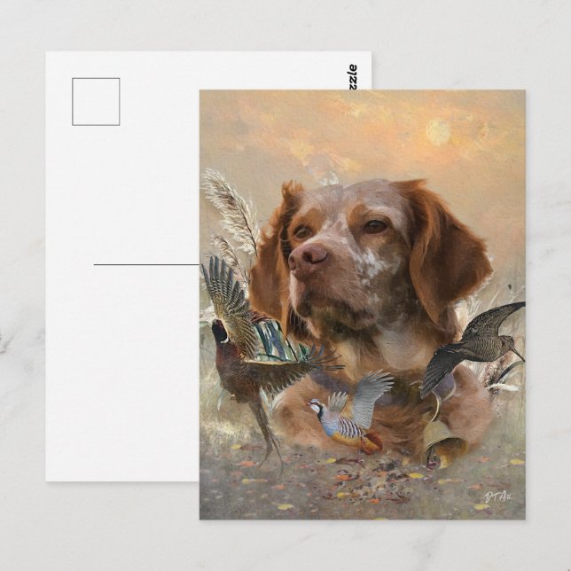 Postal Bretaña francesa, arte de caza de aves (Anverso / Reverso)