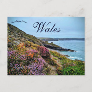 Postal Brezo en Pembrokeshire Gales