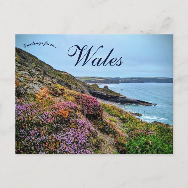 Postal Brezo en Pembrokeshire Gales (Anverso)