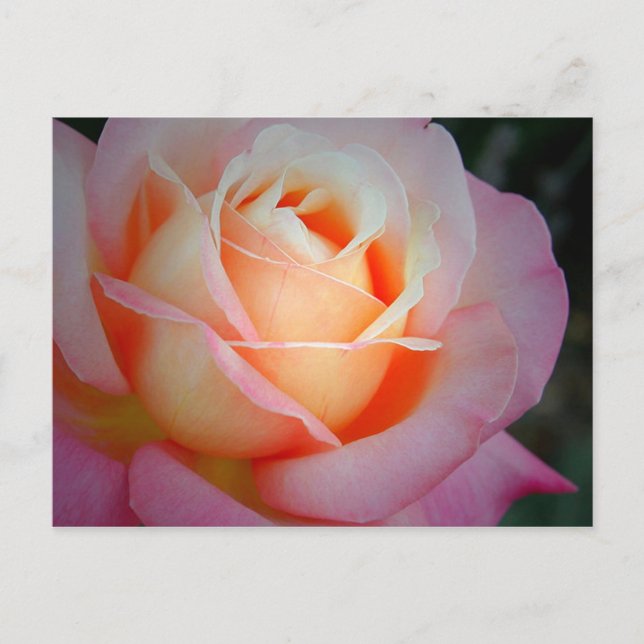 Postal Brianna (Anverso)