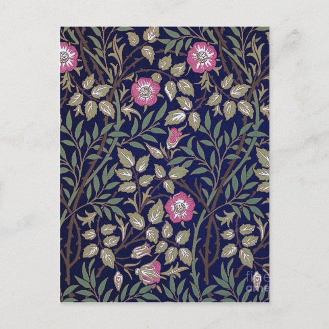 Postal Briar dulce, William Morris (Anverso)