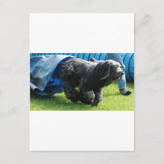 Postal Briard