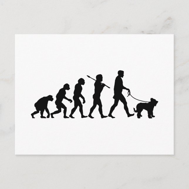 Postal Briard (Anverso)